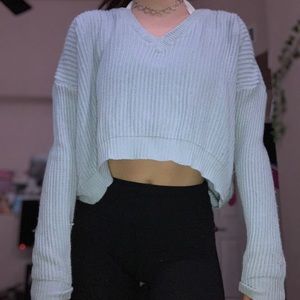 Brandy melville blue sweater